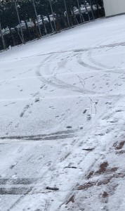 【積雪で学べた１日】