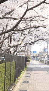 新生活に向けて　気持ちを変えたいそう想う人に伝えたい